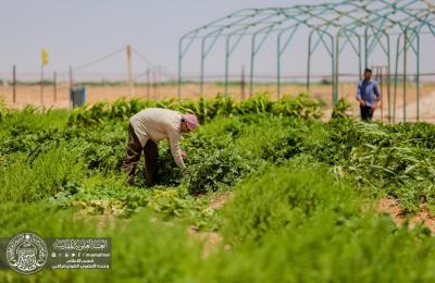 إدارة مشروع فدك الزراعي بالعتبة العلوية : مستعدون لرعاية التدريب الصيفي لطلبة كليات الزراعة ميدانيًا إدارة مشروع فدك الزراعي بالعتبة العلوية : مستعدون لرعاية التدريب الصيفي لطلبة كليات الزراعة ميدانيًا