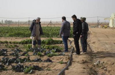 الأمين العام للعتبة العلوية يتفقد " مزرعة فدك " ويؤكد دعم المشروع للأسواق المحلية في النجف الأشرف الأمين العام للعتبة العلوية يتفقد " مزرعة فدك " ويؤكد دعم المشروع للأسواق المحلية في النجف الأشرف