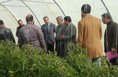 كوادر مديرية زراعة النجف الأشرف تطلع على الأعمال والمنجزات الحاصلة في " مزرعة فدك " التابعة للعتبة العلوية المقدسة كوادر مديرية زراعة النجف الأشرف تطلع على الأعمال والمنجزات الحاصلة في " مزرعة فدك " التابعة للعتبة العلوية المقدسة